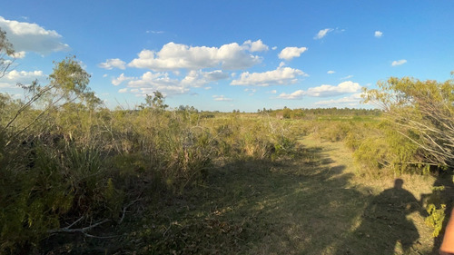 Venta Campo De 5has Casa De Material Sobre Ruta 33, Entrega Y Cuotas