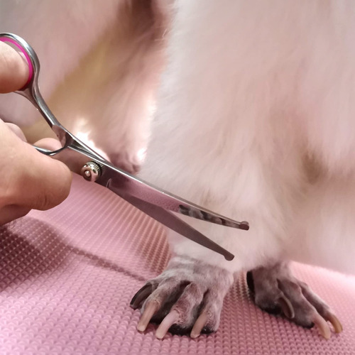 Juego De Tijeras Profesionales For Peluquería Canina Con
