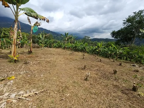 Se Vende Finca Quebradanegra Calarcá Quindío