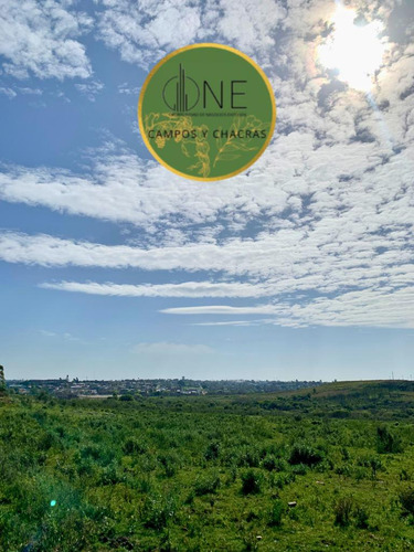 En Venta Chacra En Salto. Ruta 3 ¡atención Inversores Y Empresarios!