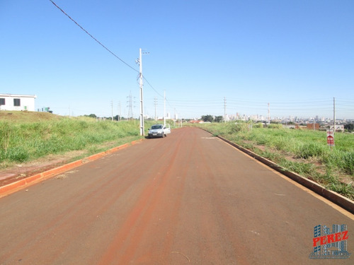 Imagem 12 de 13 de Terrenos Para Venda - 13650.5633