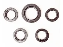 Comprar Kit Estoperas Motor Scooter Bera Runner Porsche Corvette