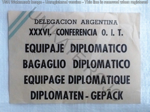 Antiguo Pase Valija Diplomática Argentina Raro Original 1953