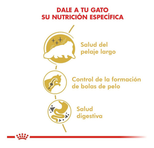 Imagen 4 de 7 de Alimento Royal Canin Feline Breed Nutrition Persian para gato adulto sabor mix en bolsa de 1.5 kg