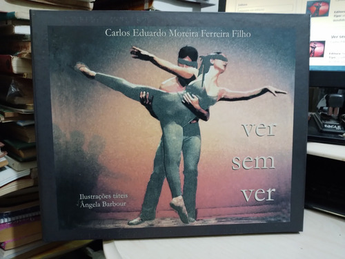 Ver Sem Ver - Carlos Eduardo Moreira Ferreira Filho