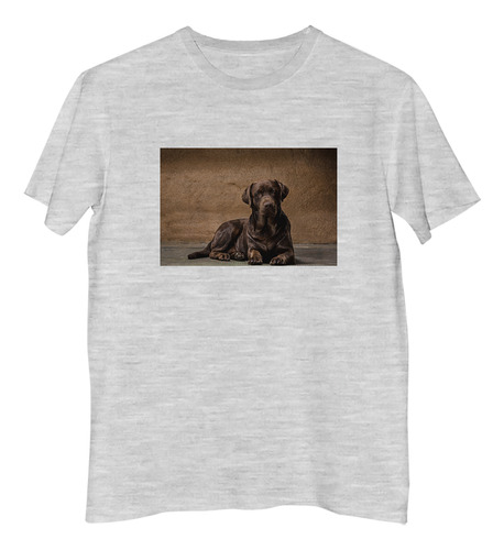 Remera Niño Perros 11 Labrador Sombrero Botella