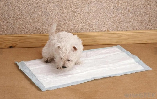 Alfombra Sanitaria Mini Compact Mascotas X30u Paño Pet