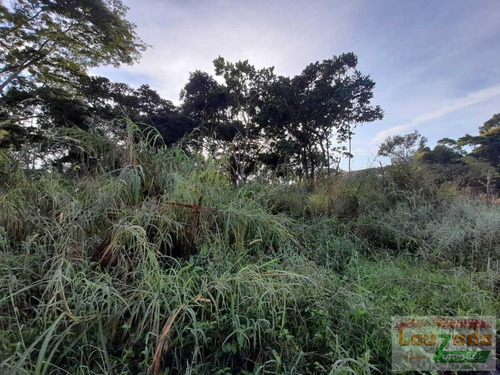 Imagem 4 de 4 de Terreno Para Venda Em Peruíbe, Jardim Marcia - 3629_2-862989