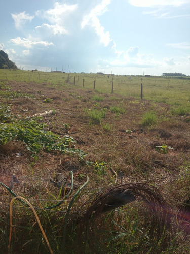 Lote Mini Chácara