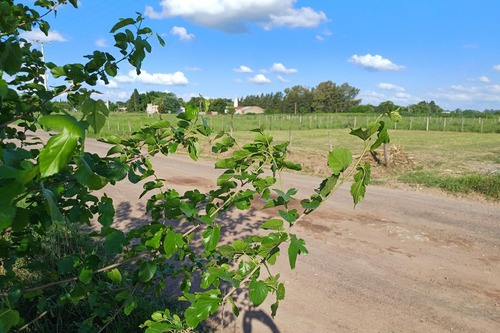 Loteo Rural!! Terrenos Sin Expensas! En Venta Desde 360m2 A 900m2 Ubicados En Villa Espil.