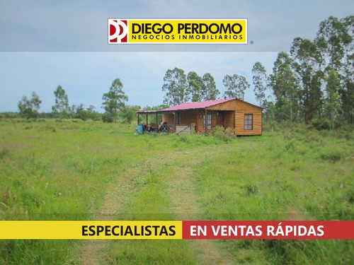Imagen 5 de 9 de Chacra De 5 Ha En Venta. Ciudad Del Plata