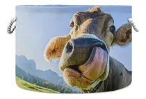 Comprar ''cesta De Almacenaje Plegable De Tela Con Vaca Divertida''