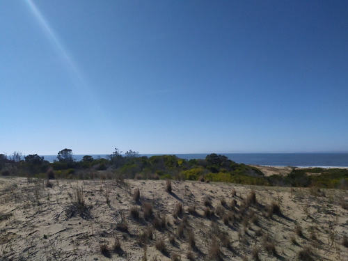 Imagen 5 de 19 de Solar - En Venta En La Viuda Punta Del Diablo A 150m De La Playa - Mza 253