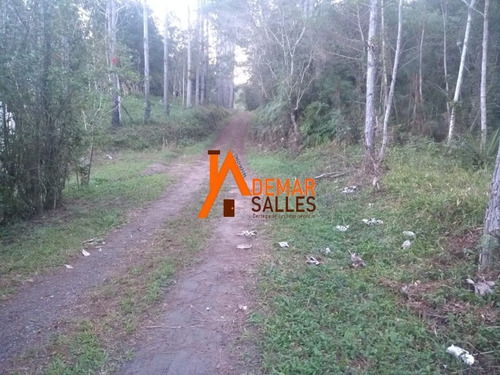 Imagem 18 de 23 de Chacara - Ch00064 - 68105344