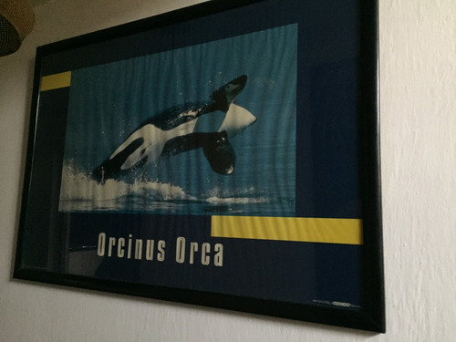 Imagen 1 de 3 de Cuadro De Orcinus Orca Grande 74cms Alto X 1.5m Ancho