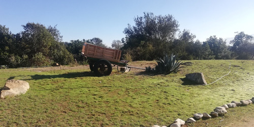 Se Vende Gran Parcela En Lliu Lliu, Limache De 4 Ha.