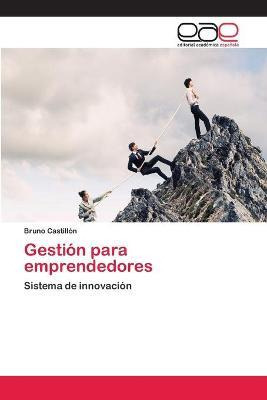 Libro Gestion Para Emprendedores - Castillon Bruno