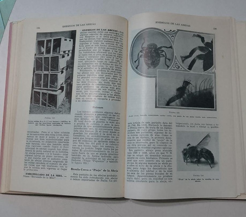 A B C Y X Y Z De La Apicultura Root Tapa Dura Hachette 1959 (Usado)