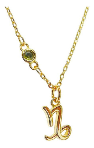Collar De Chapa De Oro 18k, Signo Zodiaco Capricornio