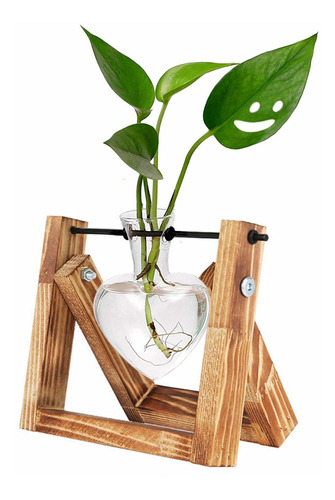 Huabei - Terrario Con Soporte De Madera Para Plantas Globo D