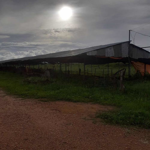 Imagen 8 de 26 de Finca En Venta Vía Cordero El Cuji Ksanchez