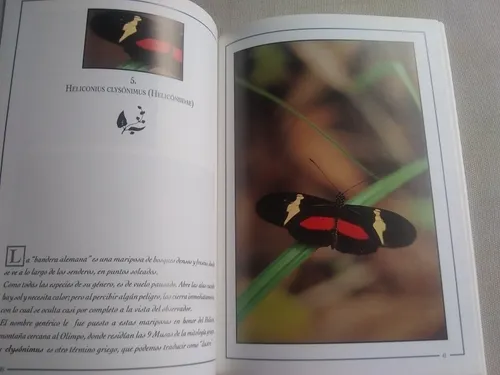 Mariposas De Caracas (Usado)
