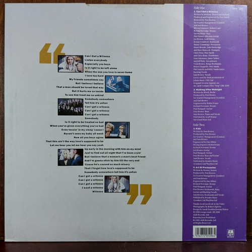 Vinil Lp Sam Brown Can Get A Witness