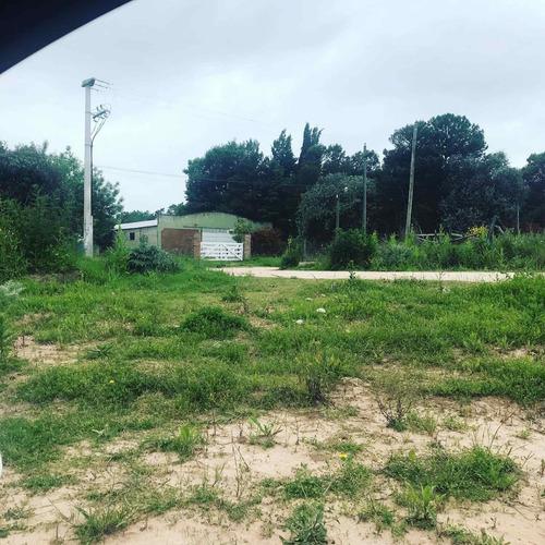 Imagen 2 de 13 de Venta Galpón