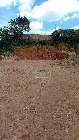 Imagem 3 de 3 de Terreno À Venda, 1200 M² Por R$ 225.000 - Tarumã - Manaus/am - Te0848