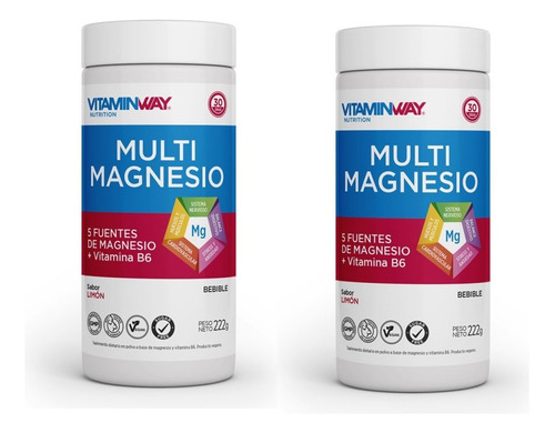 Multi Magnesio 5 Fuentes De Magnesio En Polvo Vitamina B6 X2