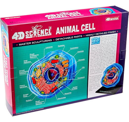 Famemaster 4d-science Animal Anatomy Cell Model