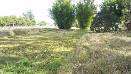 Imagem 12 de 15 de Terreno/sítio - 4365