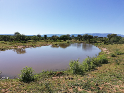 Campo De 62 Hectáreas En San Luis 