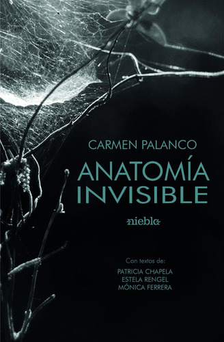 Anatomãâa De Lo Invisible, De Palanco, Carmen. Editorial Niebla, Tapa Blanda En Español