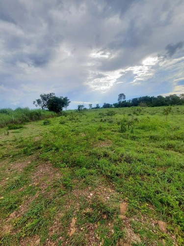 Imagem 6 de 14 de Sítio 25 Hectares - 0034