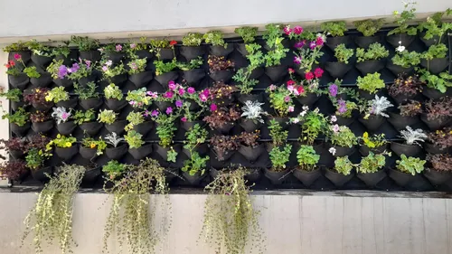 Jardines Verticales Instalacion Completa