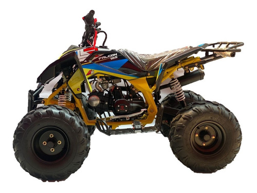 Imagen 3 de 14 de Cuatrimoto Moto Plr 125cc Raptor Motor 4t