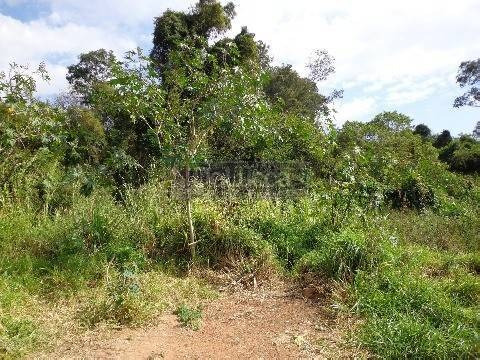 Imagem 5 de 11 de Área À Venda Em Sousas - Ar018707