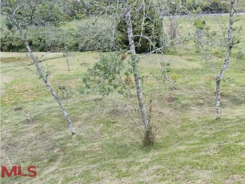 Hermoso Lote En Lindisima Parcelacion.(mls#239089)