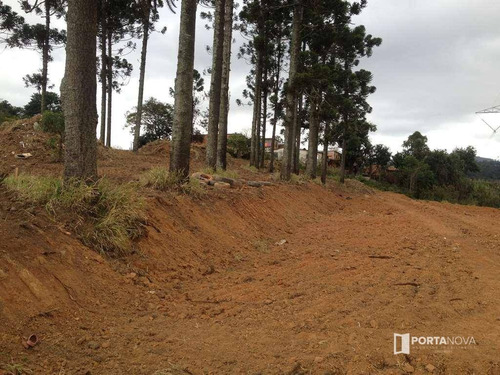 Imagem 2 de 6 de Área À Venda, 2740 M² Por R$ 2.150.000,00 - Jardim Sandra - Cotia/sp - Ar0049