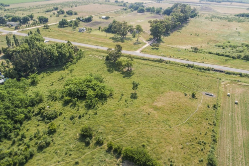 Chacras Venta 4,7 Has Residenciales-productivas Carmelo