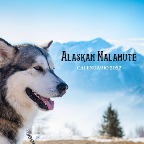 Libro: Alaskan Malamute Calendario 2022: Calendario 2022 8.5