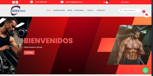 Diseño De Sitios Web Con Hosting Inlcuido