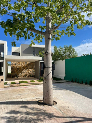 Imagen 17 de 19 de Venta De Casas En Privada Moratta, Dzitya