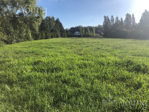 Imagen 5 de 19 de Retazado Terreno Proyecto Aprobado - Campos De Roca L