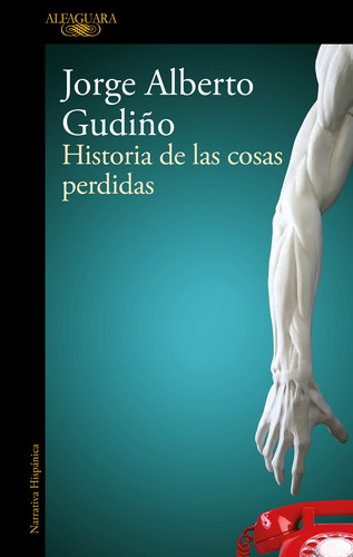 Historia de las cosas perdidas, de Gudiño Hernández, Jorge Albert. Serie Literatura Hispánica Editorial Alfaguara, tapa blanda en español, 2022