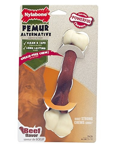 Nylabone Power Chew Durachew Femur Bone Cuero Crudo Perro Ma