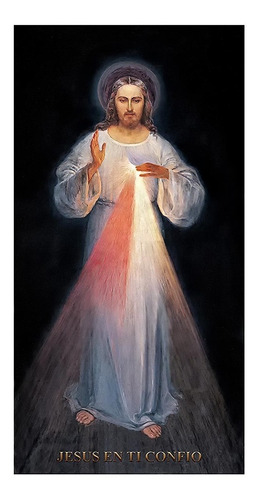 Jesús Divina Misericordia Giclee Lienzo Importado 32x62cm