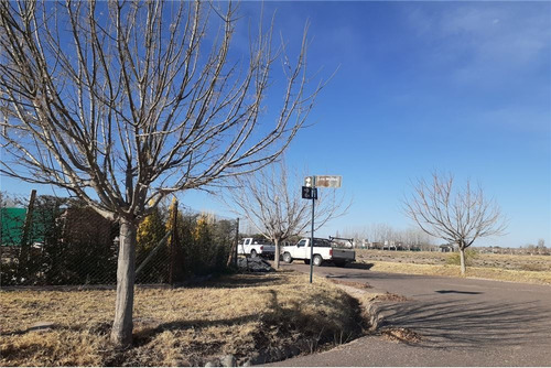 Imagen 21 de 30 de Barrio Viñas Del Sur Lotes, A Medida, Pre-venta