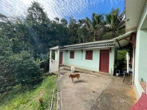 Imagem 9 de 9 de Chácara No Bairro Fazenda São José,em Pedro De Toledo 8157dh